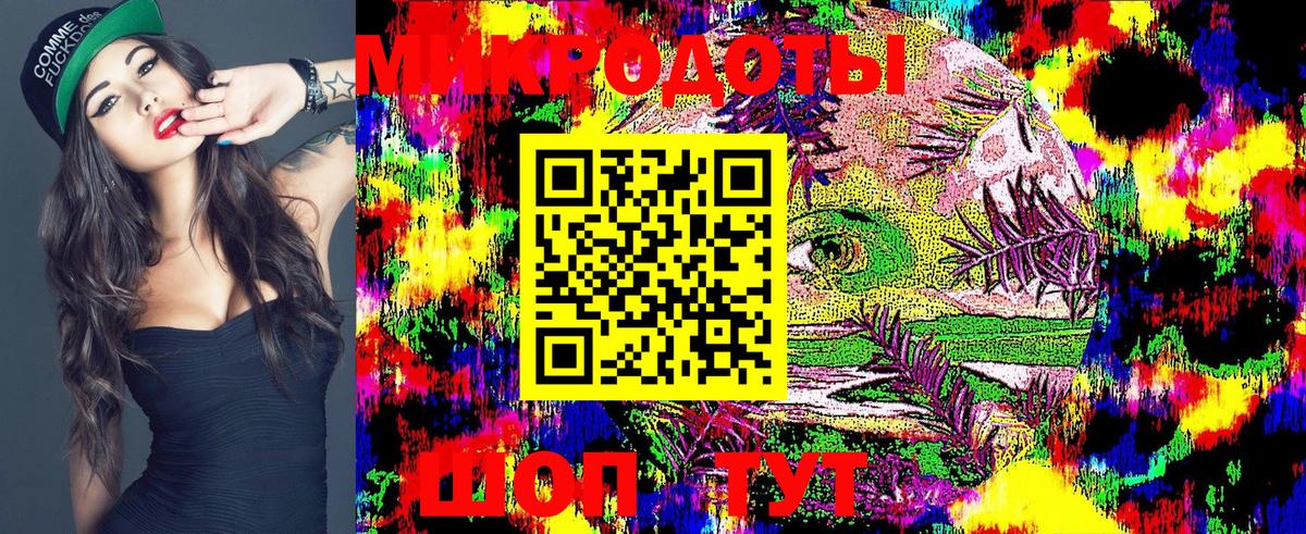 Галлюциногенные грибы Psilocybe  Вход с VPN  Северск  Псилоцибиновые грибы мухоморы 